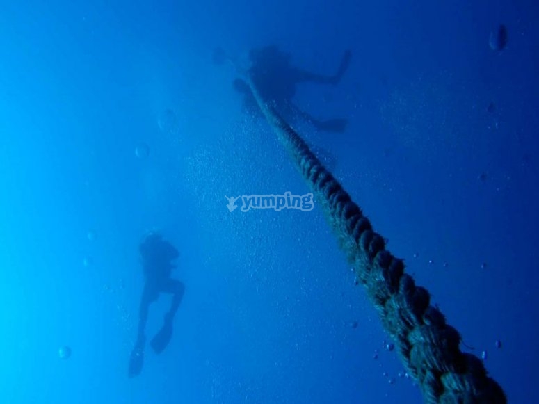 ¿Aún no conoces el submarinismo? ¿Aún no conoces el submarinismo?